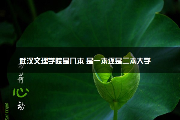武汉文理学院是几本 是一本还是二本大学