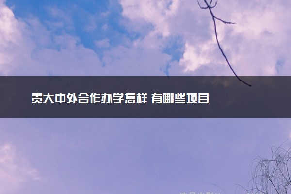 贵大中外合作办学怎样 有哪些项目