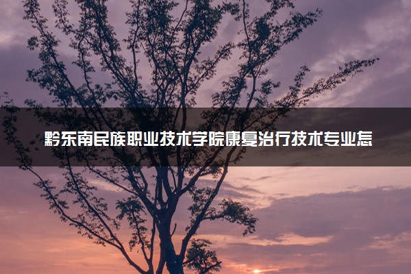 黔东南民族职业技术学院康复治疗技术专业怎么样 录取分数线多少