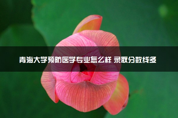青海大学预防医学专业怎么样 录取分数线多少