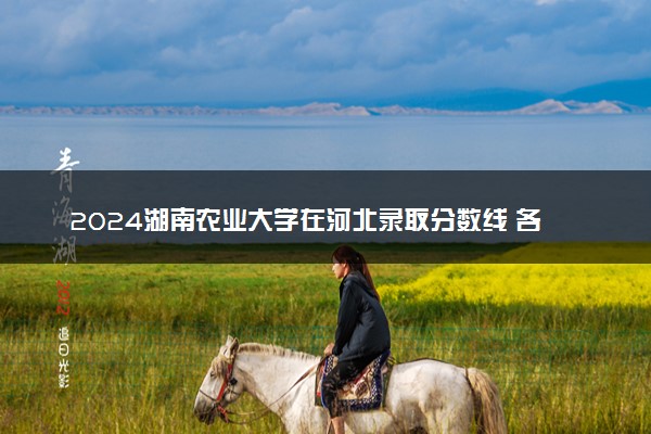 2024湖南农业大学在河北录取分数线 各专业分数及位次