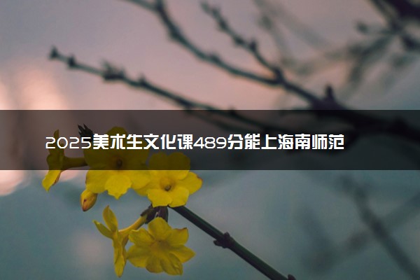2025美术生文化课489分能上海南师范大学吗