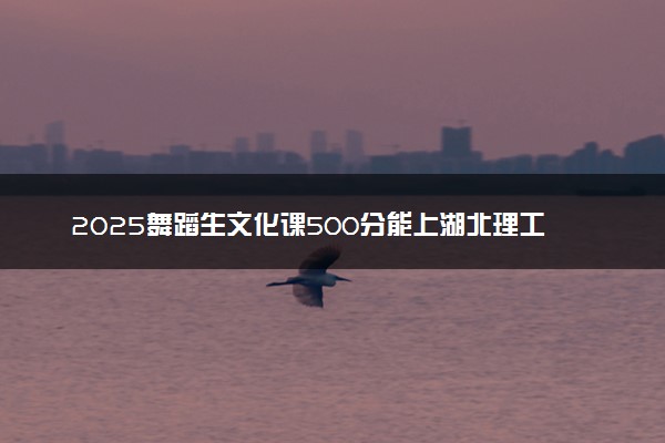 2025舞蹈生文化课500分能上湖北理工学院吗