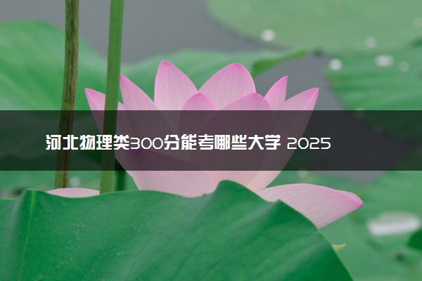 河北物理类300分能考哪些大学 2025考生稳上的大学名单