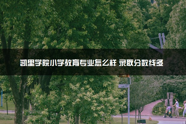 凯里学院小学教育专业怎么样 录取分数线多少
