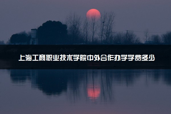 上海工商职业技术学院中外合作办学学费多少钱 各专业收费标准