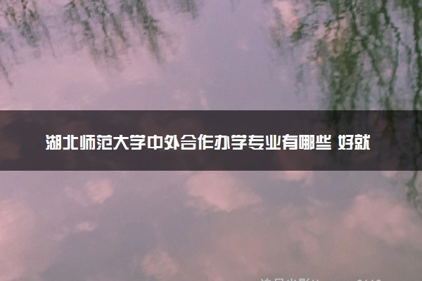 湖北师范大学中外合作办学专业有哪些 好就业吗