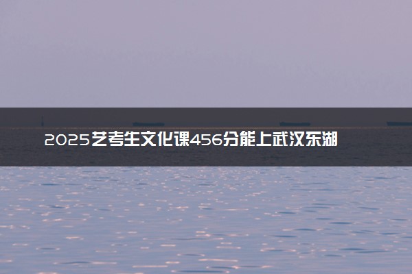 2025艺考生文化课456分能上武汉东湖学院吗