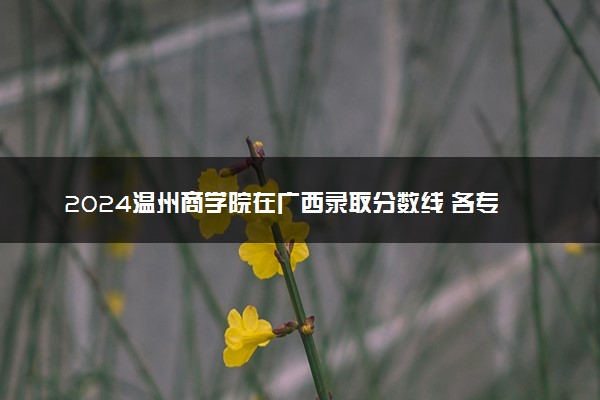 2024温州商学院在广西录取分数线 各专业分数及位次