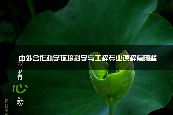 中外合作办学环境科学与工程专业课程有哪些 难学吗