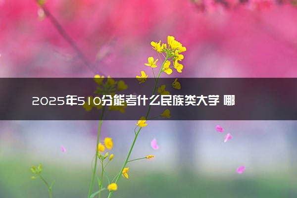 2025年510分能考什么民族类大学 哪些大学值得报