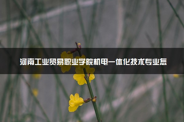 河南工业贸易职业学院机电一体化技术专业怎么样 录取分数线多少
