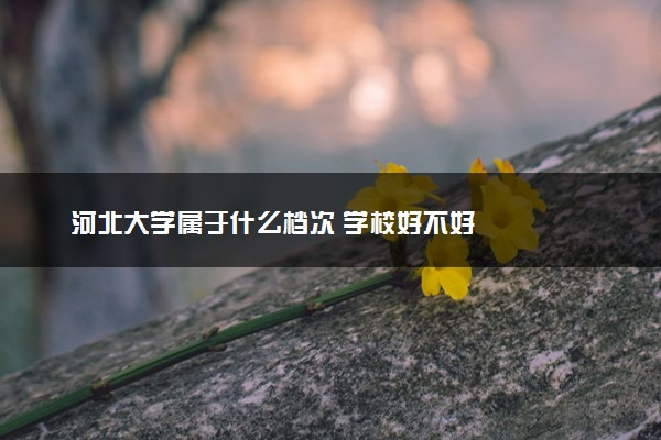 河北大学属于什么档次 学校好不好