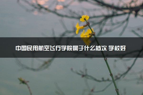 中国民用航空飞行学院属于什么档次 学校好不好
