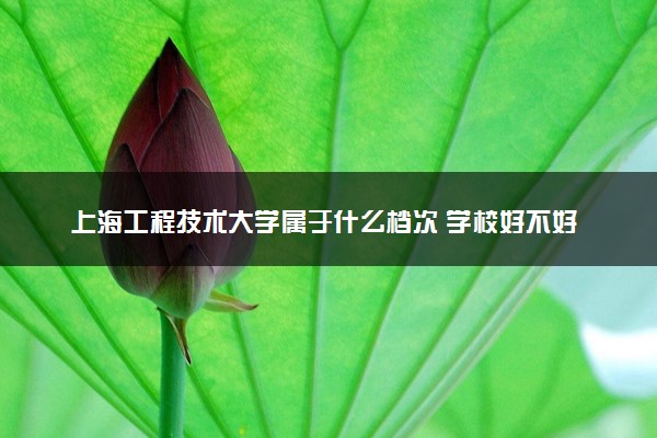 上海工程技术大学属于什么档次 学校好不好