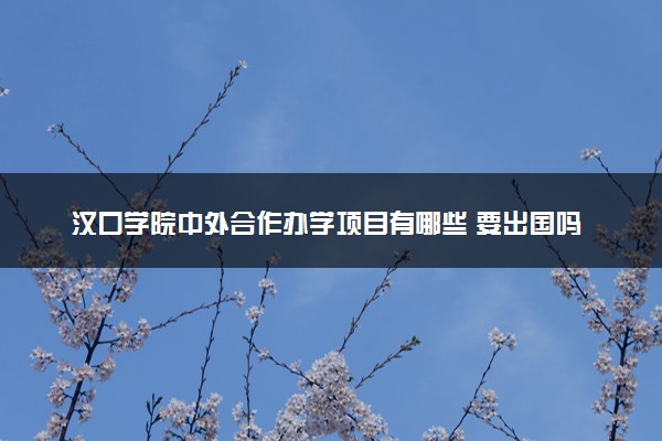 汉口学院中外合作办学项目有哪些 要出国吗