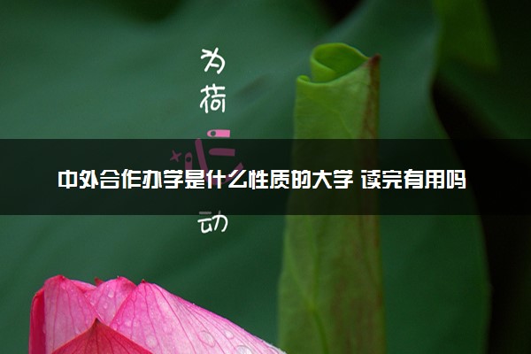 中外合作办学是什么性质的大学 读完有用吗