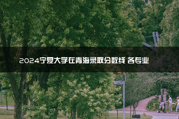 2024宁夏大学在青海录取分数线 各专业分数及位次