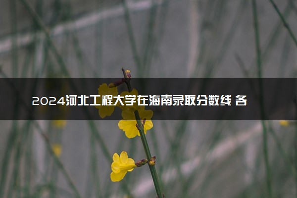 2024河北工程大学在海南录取分数线 各专业分数及位次