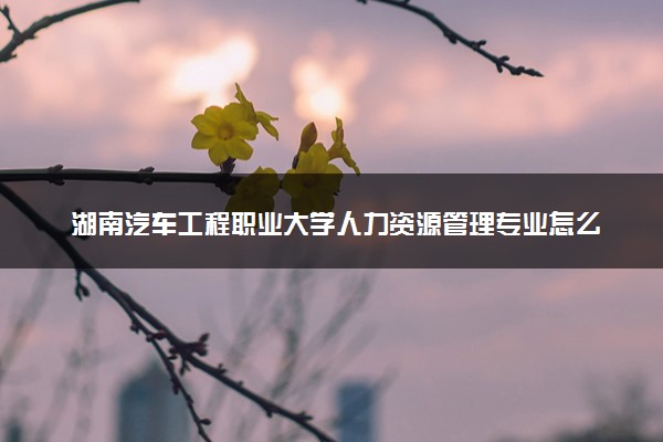 湖南汽车工程职业大学人力资源管理专业怎么样 录取分数线多少