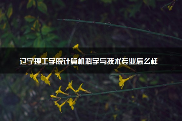 辽宁理工学院计算机科学与技术专业怎么样 录取分数线多少