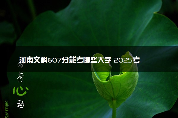 河南文科607分能考哪些大学 2025考生稳上的大学名单