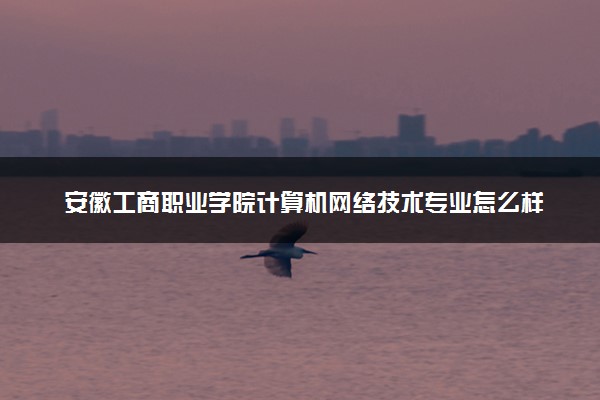 安徽工商职业学院计算机网络技术专业怎么样 录取分数线多少