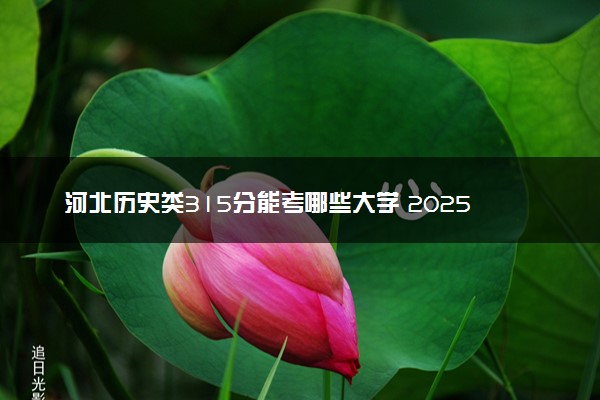 河北历史类315分能考哪些大学 2025考生稳上的大学名单