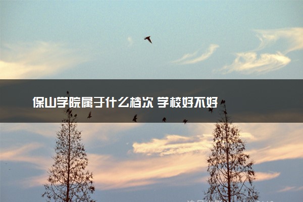 保山学院属于什么档次 学校好不好