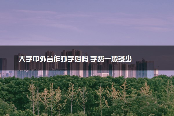 大学中外合作办学好吗 学费一般多少