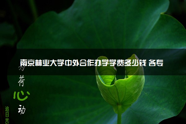 南京林业大学中外合作办学学费多少钱 各专业收费标准