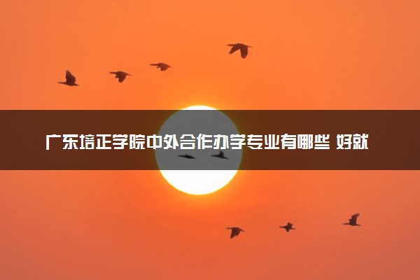 广东培正学院中外合作办学专业有哪些 好就业吗