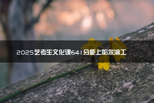 2025艺考生文化课641分能上哈尔滨工业大学吗