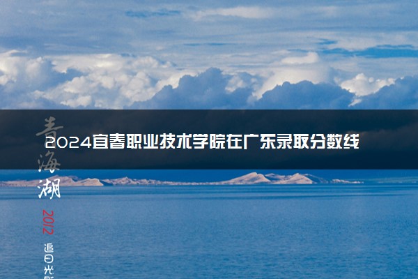 2024宜春职业技术学院在广东录取分数线 各专业分数及位次