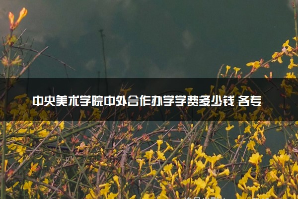 中央美术学院中外合作办学学费多少钱 各专业收费标准