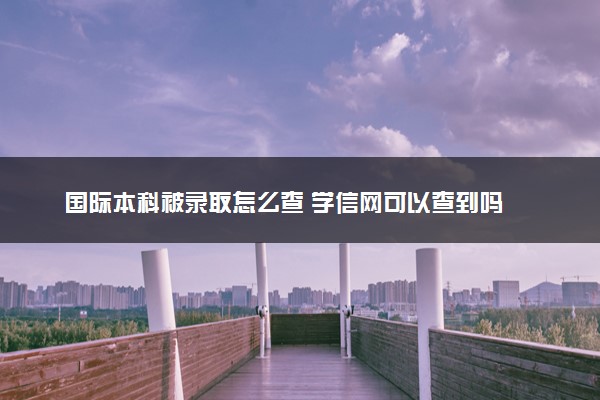 国际本科被录取怎么查 学信网可以查到吗