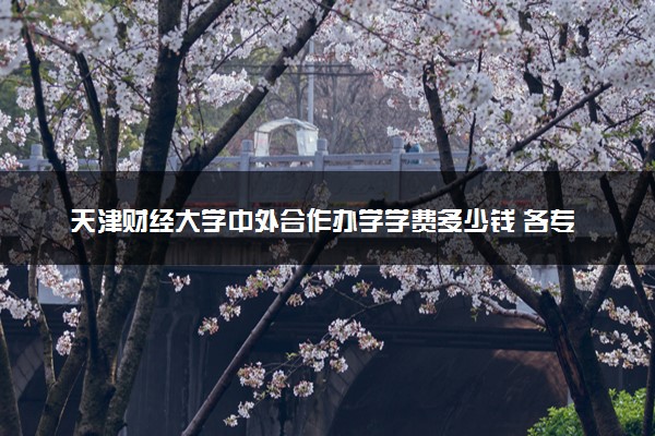 天津财经大学中外合作办学学费多少钱 各专业收费标准