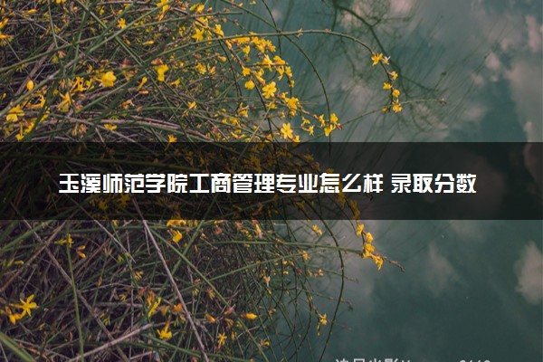 玉溪师范学院工商管理专业怎么样 录取分数线多少