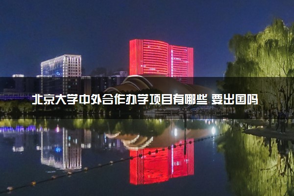 北京大学中外合作办学项目有哪些 要出国吗