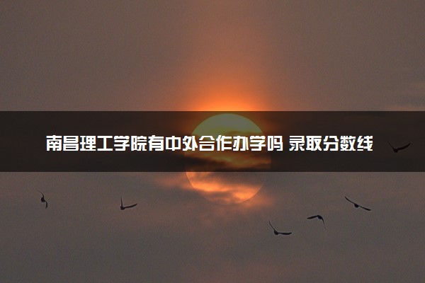 南昌理工学院有中外合作办学吗 录取分数线是多少