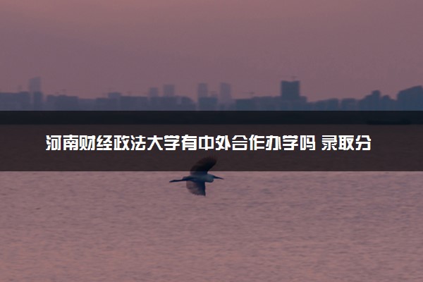 河南财经政法大学有中外合作办学吗 录取分数线是多少