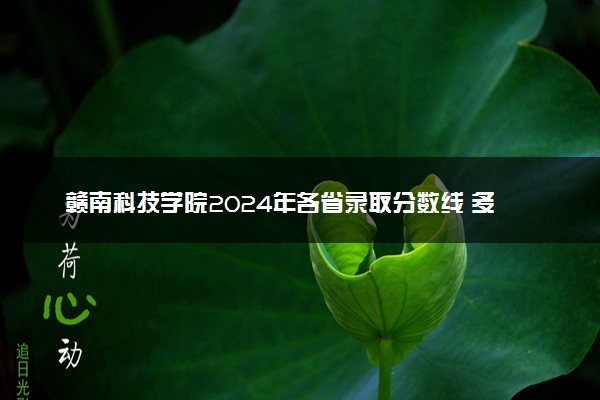 赣南科技学院2024年各省录取分数线 多少分能考上