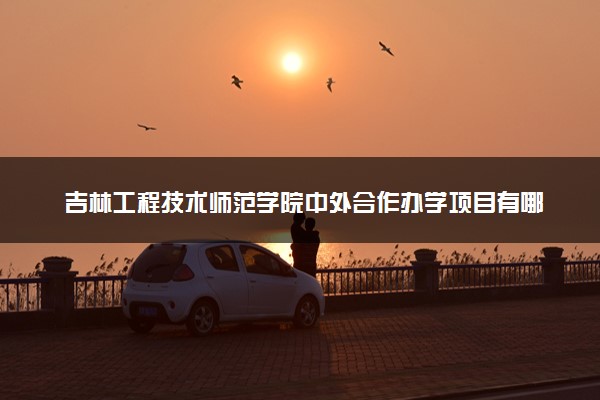 吉林工程技术师范学院中外合作办学项目有哪些 要出国吗