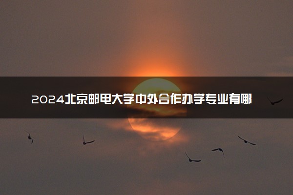 2024北京邮电大学中外合作办学专业有哪些 好就业吗