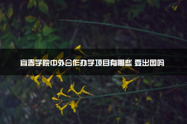 宜春学院中外合作办学项目有哪些 要出国吗