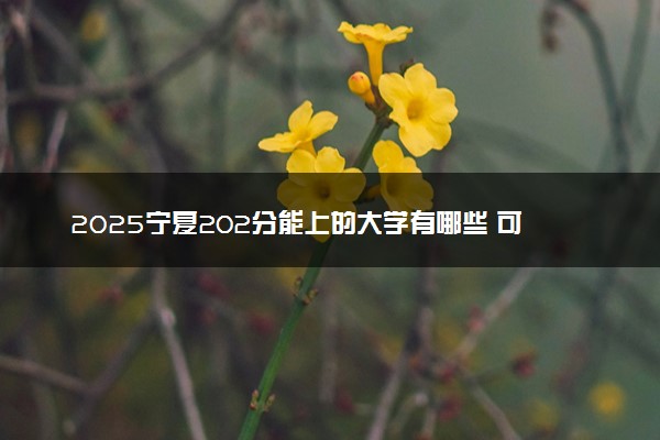 2025宁夏202分能上的大学有哪些 可以报考院校名单