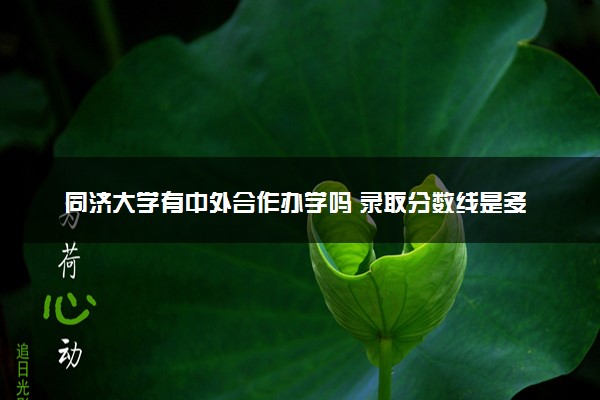 同济大学有中外合作办学吗 录取分数线是多少