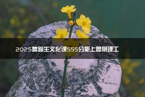 2025舞蹈生文化课555分能上昆明理工大学吗