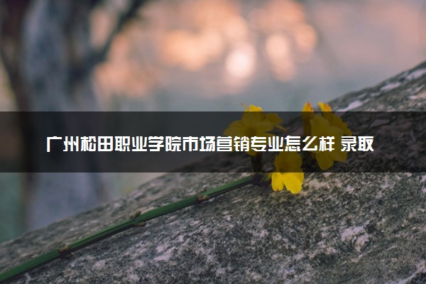 广州松田职业学院市场营销专业怎么样 录取分数线多少