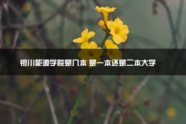 银川能源学院是几本 是一本还是二本大学